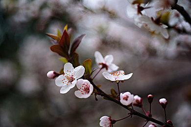 玩家脑洞大开 在《英灵神殿》里建造一台电脑